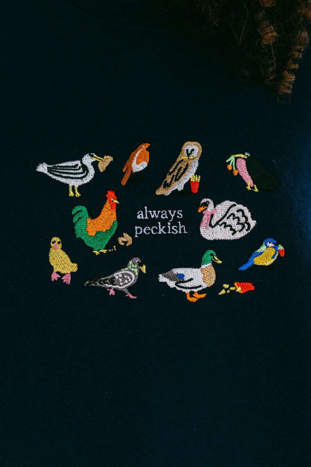 Always Peckish Embroidered Sweatshirt