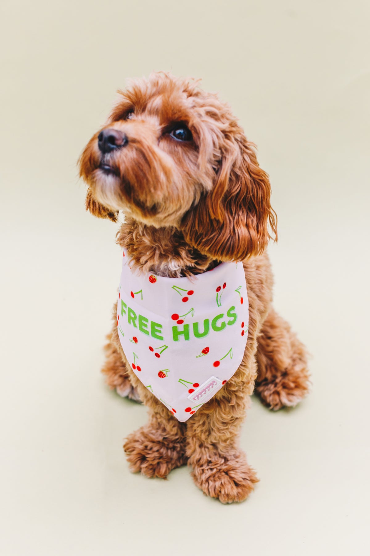 Free Hugs &amp; Love Yourself Double Sided Pet Bandana