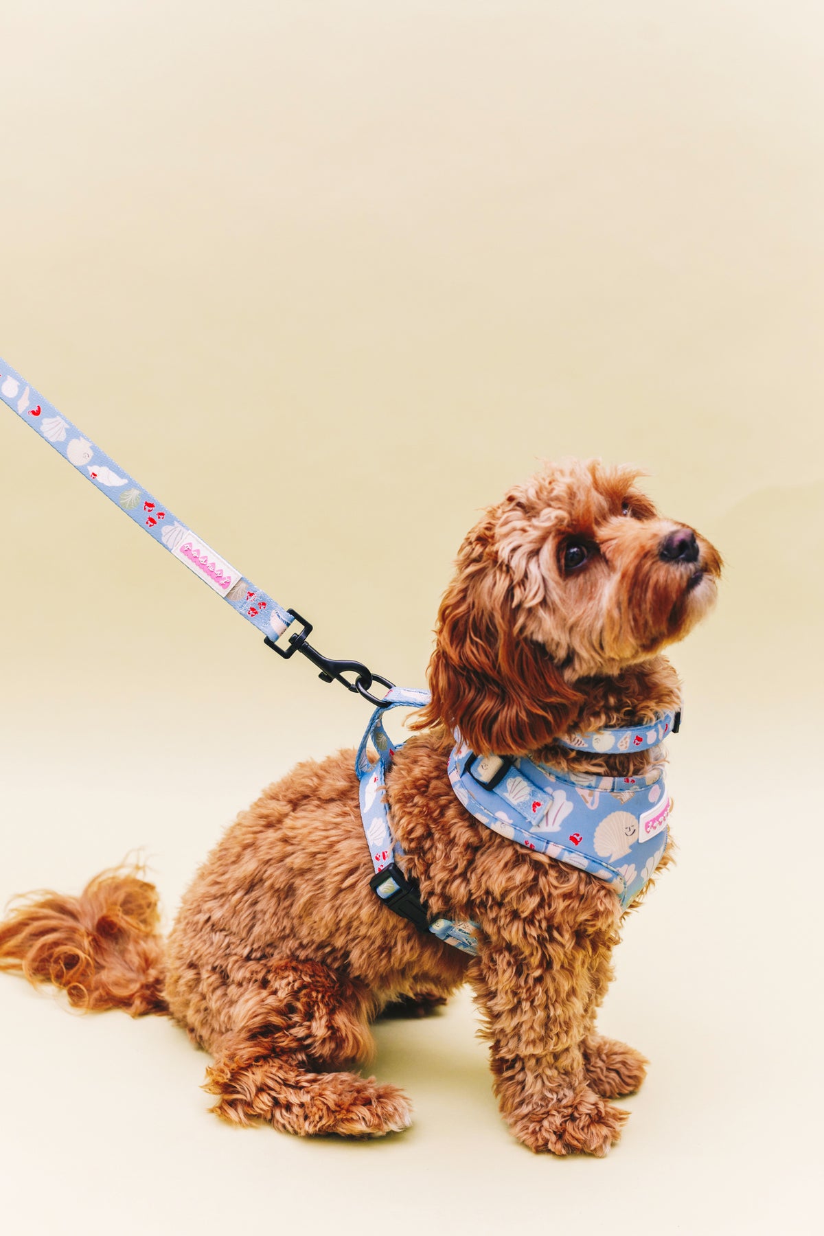 Fetch on the Beach Pet Harness
