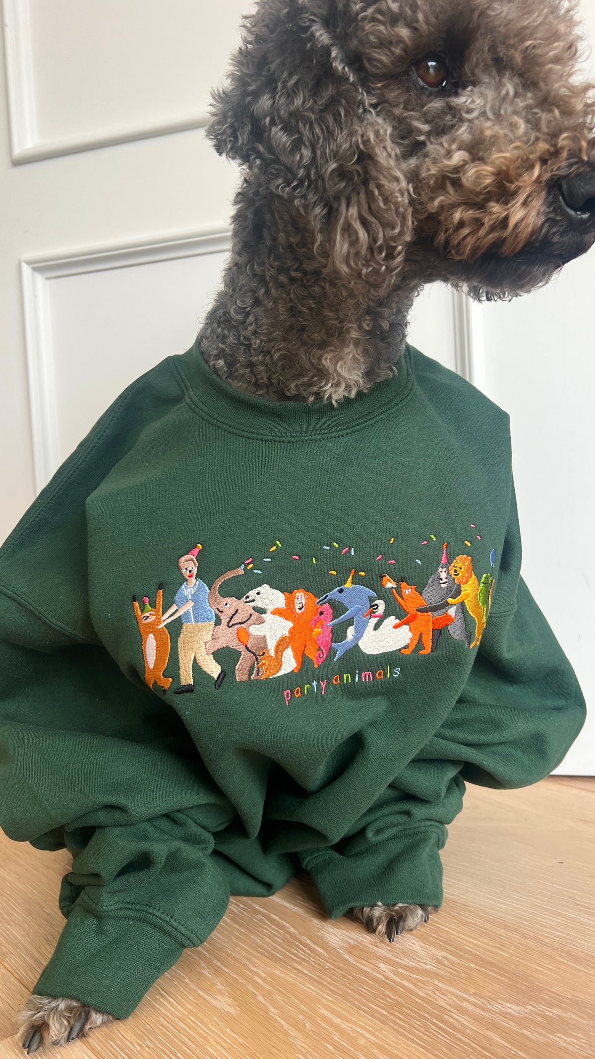 PRE-ORDER Party Animals David Attenborough Embroidered Sweatshirt