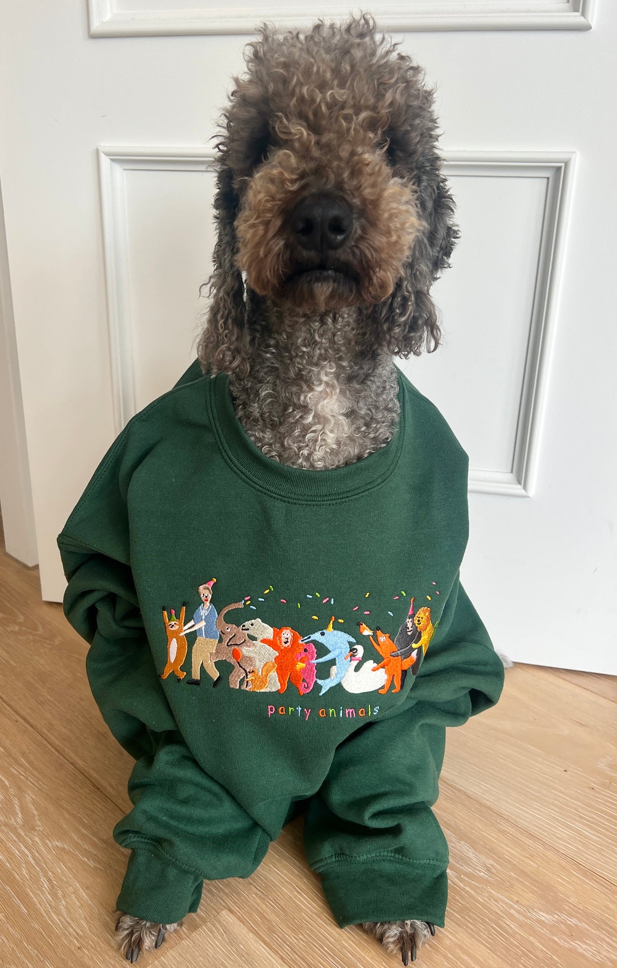 PRE-ORDER Party Animals David Attenborough Embroidered Sweatshirt