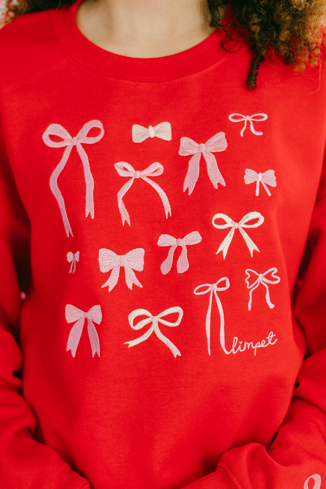 Bows Embroidered Sweatshirt