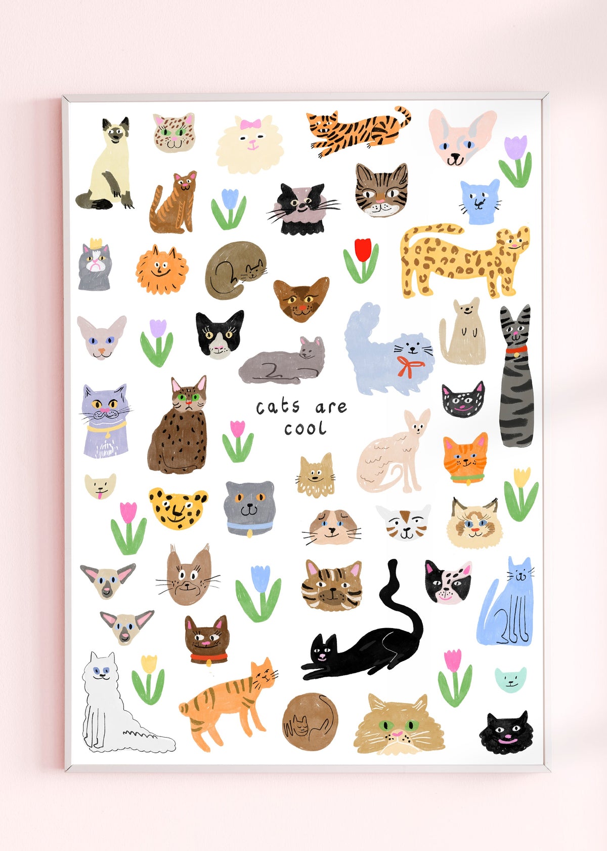 Cats Are Cool Wall Print