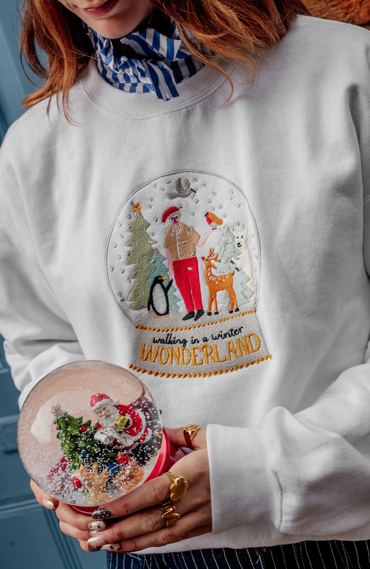 David Attenborough Winter Wonderland Sweatshirt