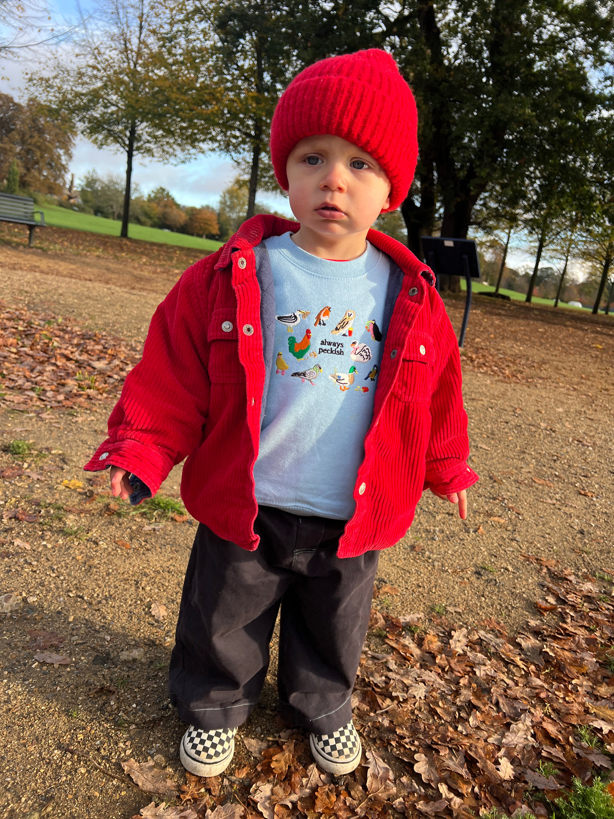 KIDS - Always Peckish Oversized Sweatshirt