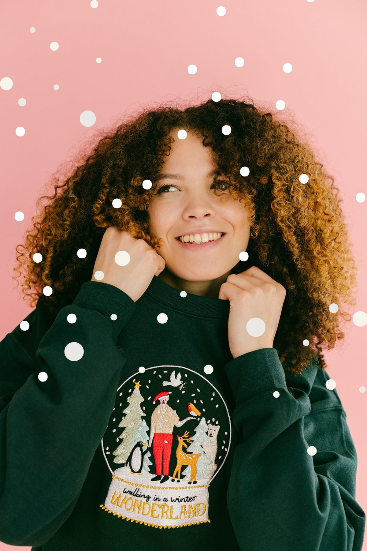 David Attenborough Winter Wonderland Sweatshirt