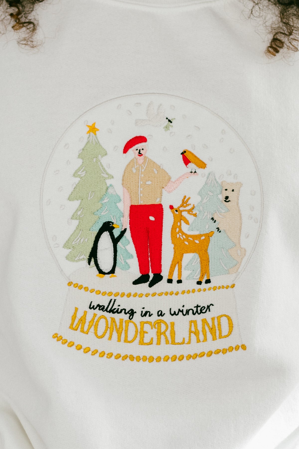David Attenborough Winter Wonderland Sweatshirt