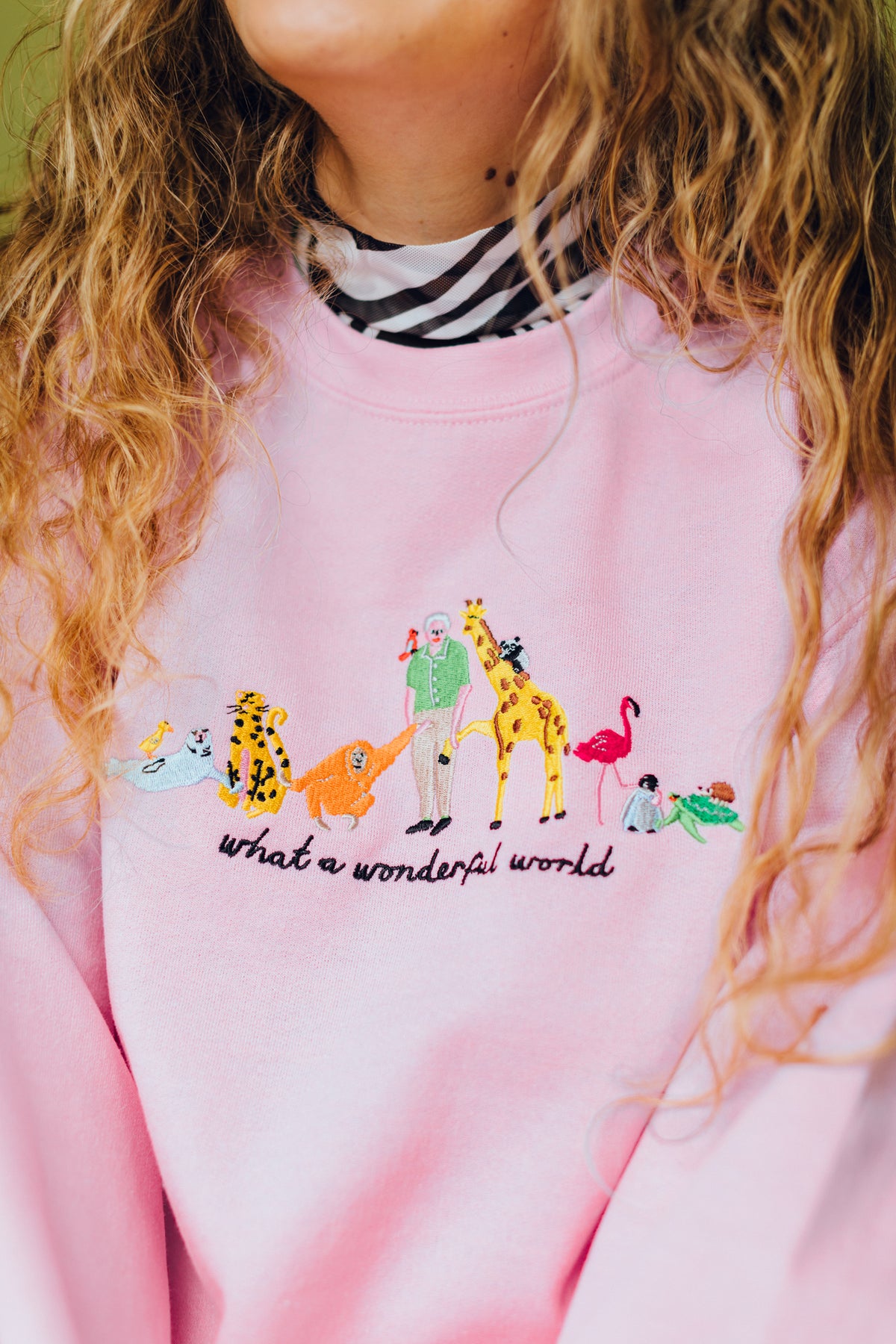 David Attenborough What A Wonderful World Embroidered Sweatshirt - Limpet  Store
