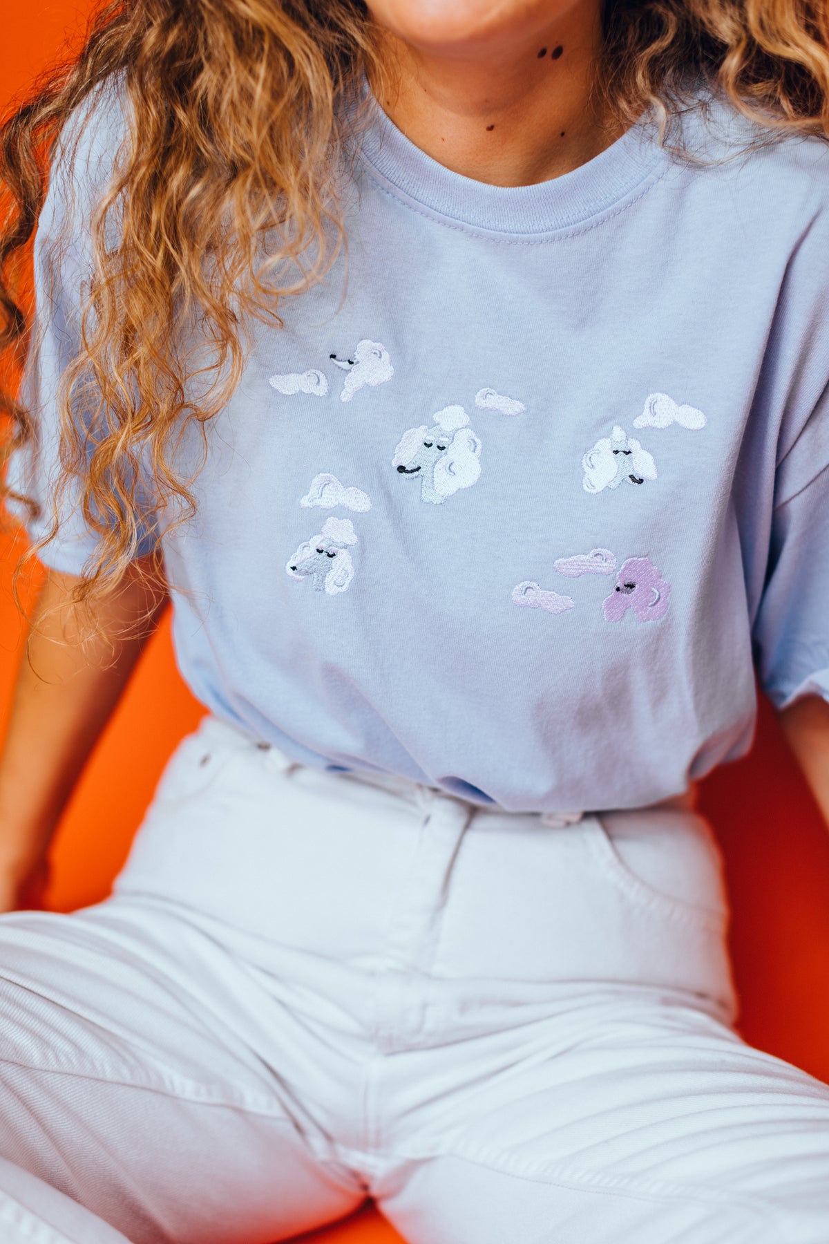 Poodle Clouds Embroidered T-Shirt