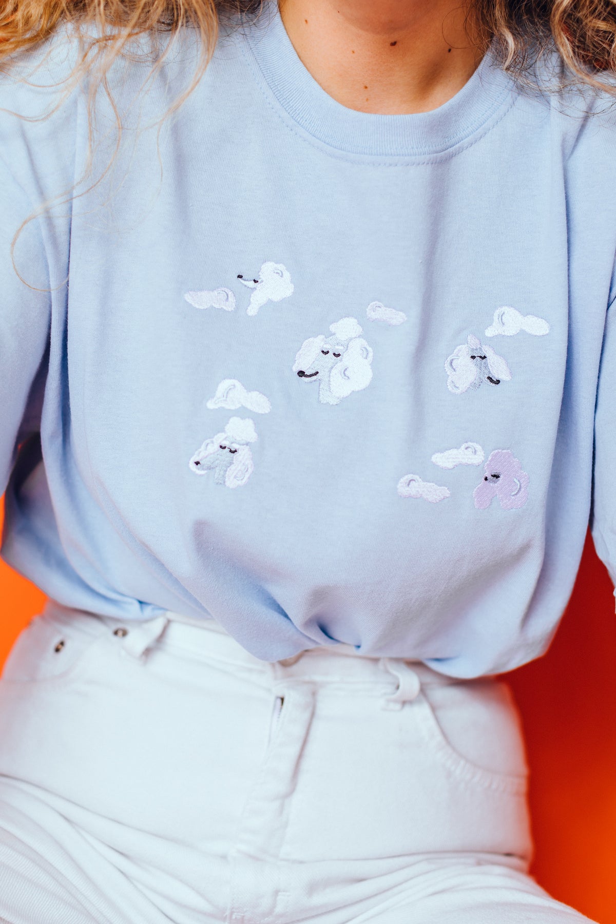 Poodle Clouds Embroidered T-Shirt