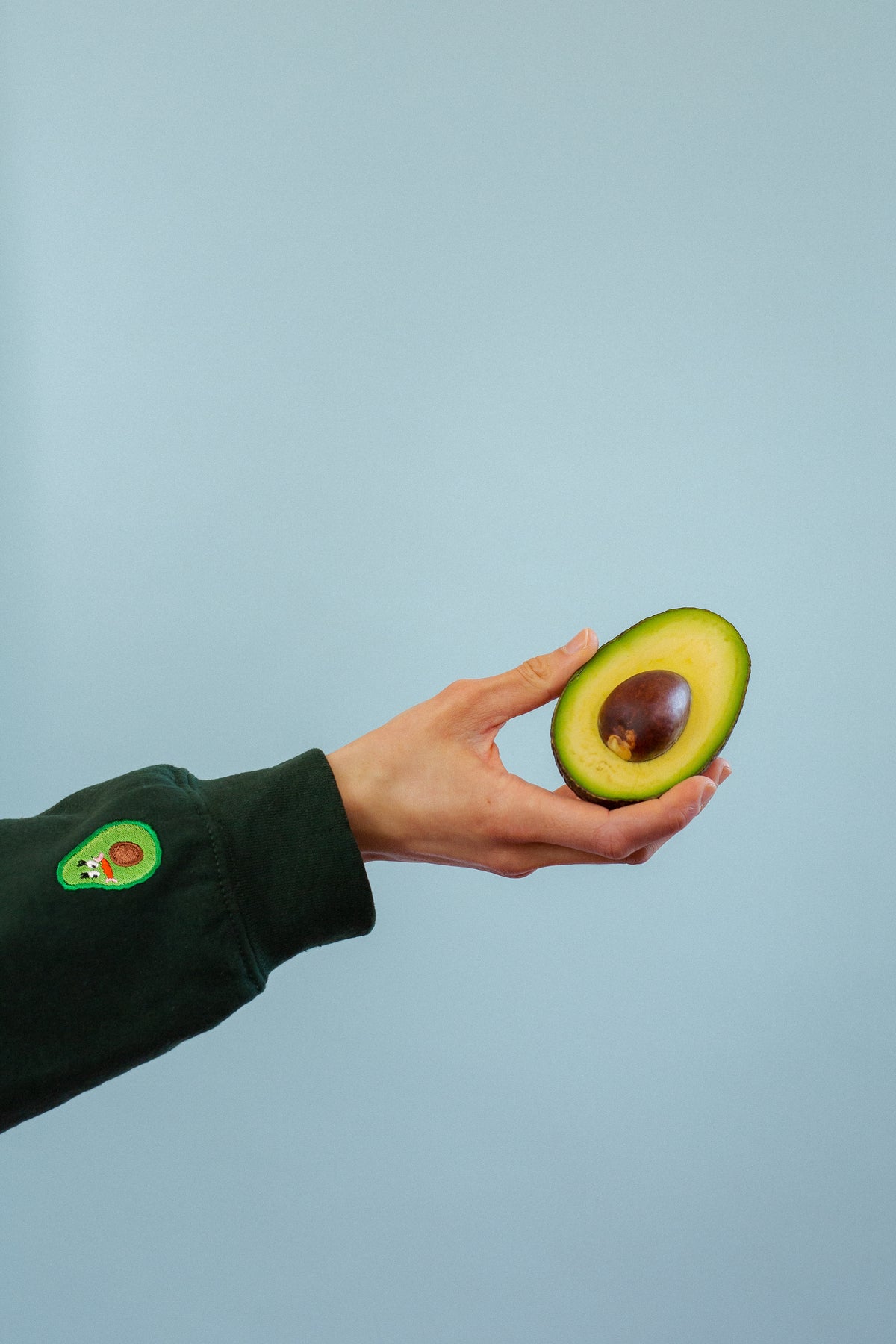 The Avocado Oversized Sweatshirt