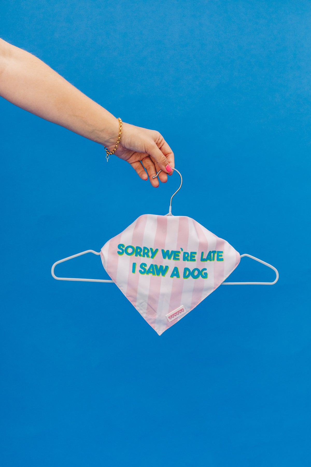 Mega Bundle of Double Sided Pet Bandanas