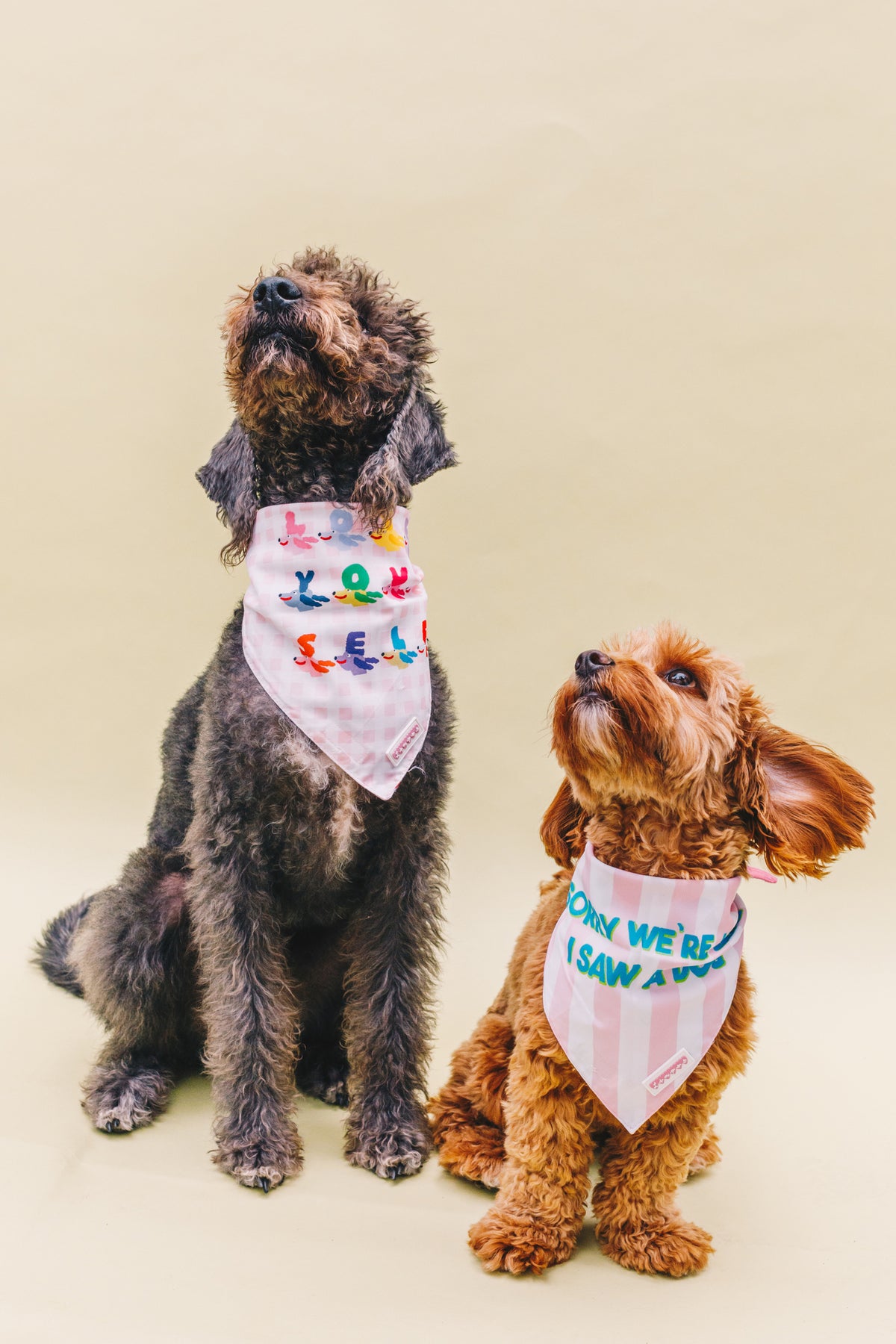 Live, Bark, Love &amp; Sorry We&#39;re Late Double Sided Pet Bandana