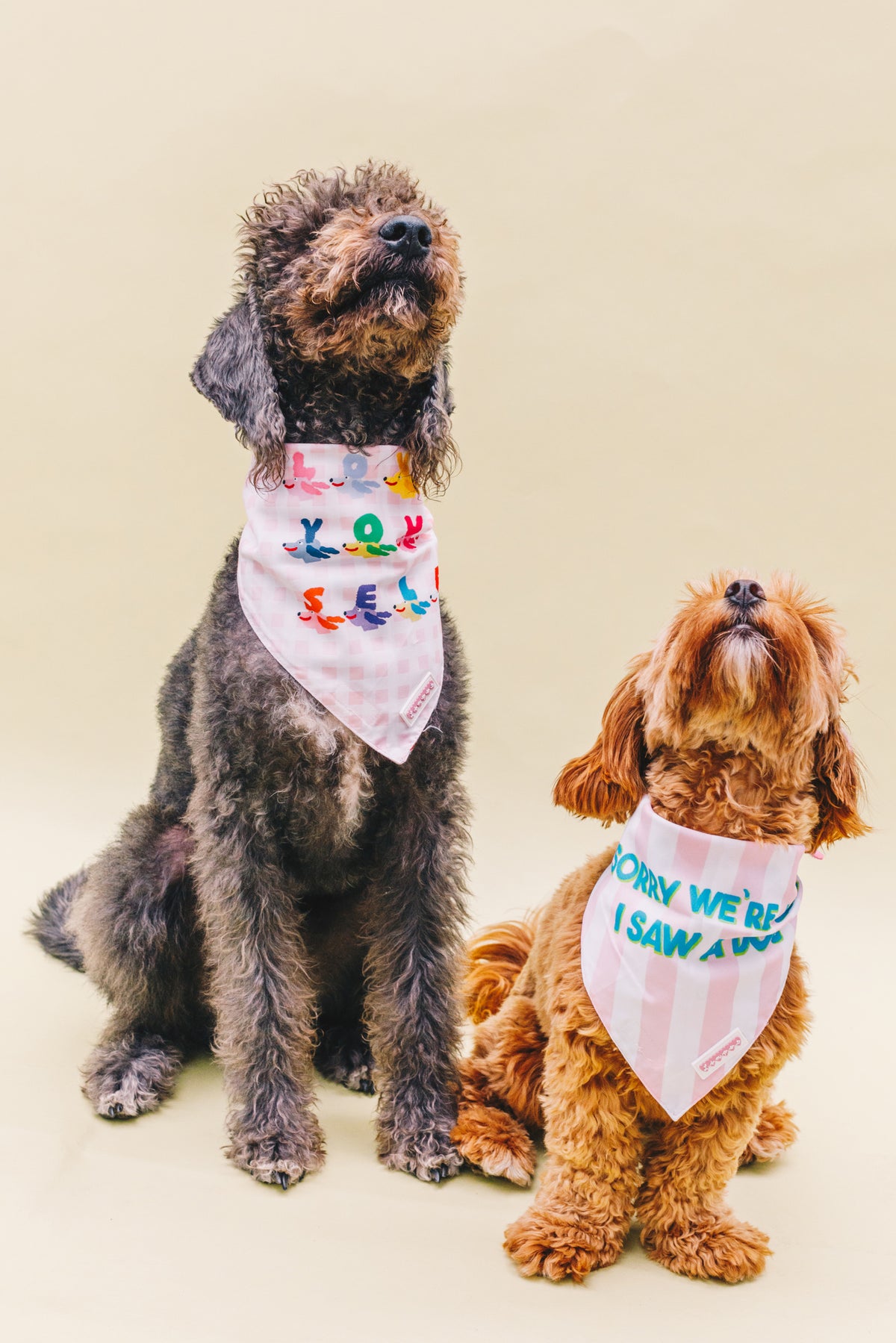 Mega Bundle of Double Sided Pet Bandanas