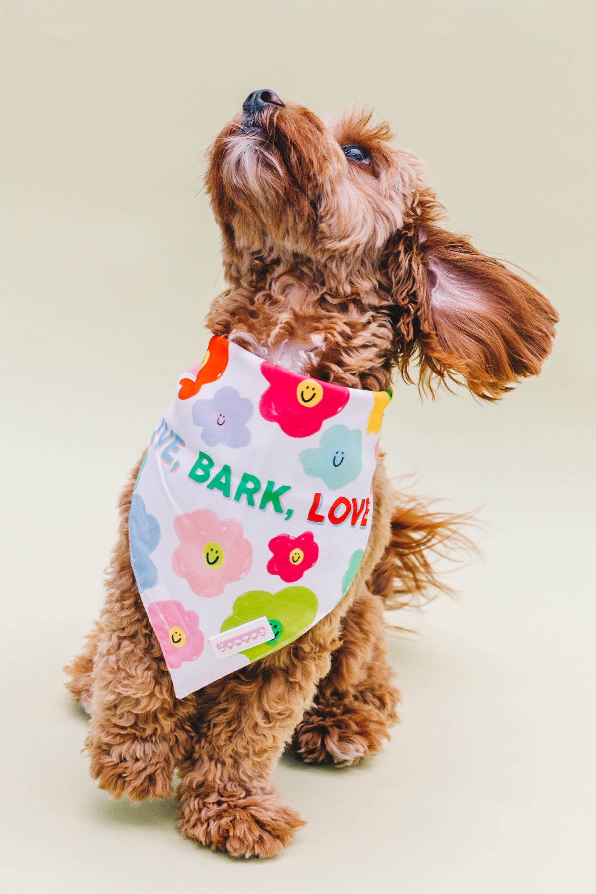 Live, Bark, Love &amp; Sorry We&#39;re Late Double Sided Pet Bandana