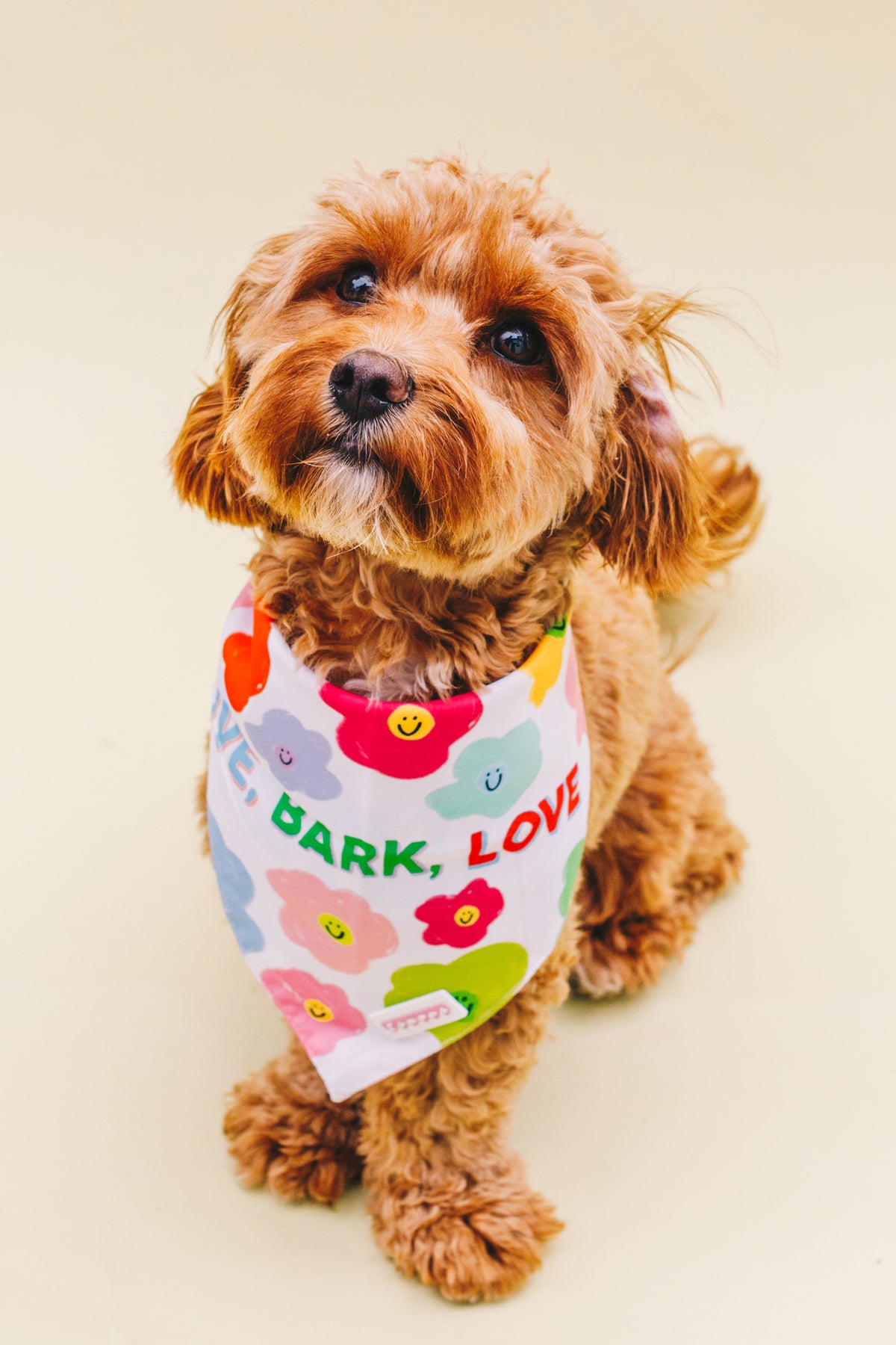Cutest online dog bandanas