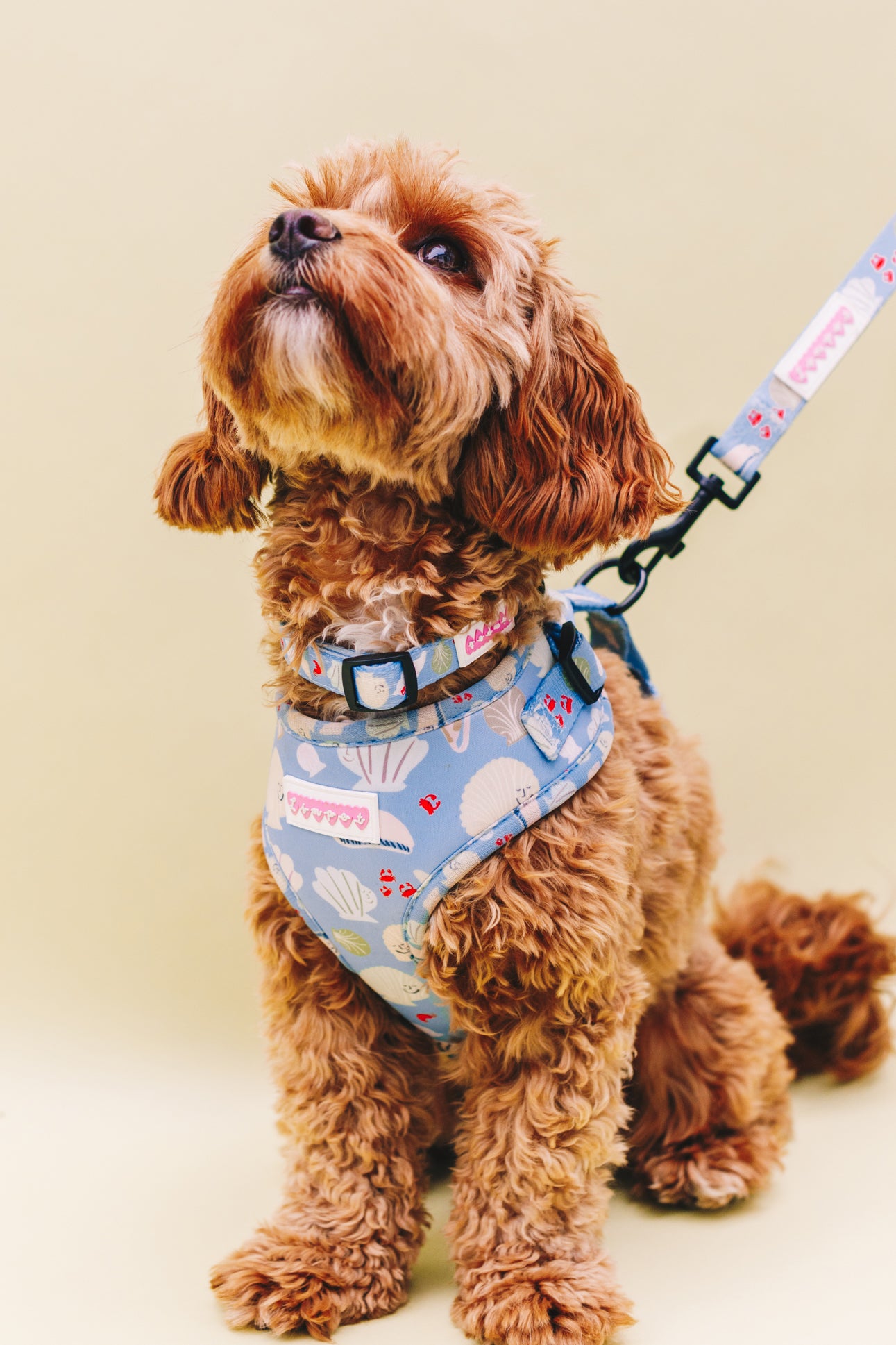 FETCH Dog Harness