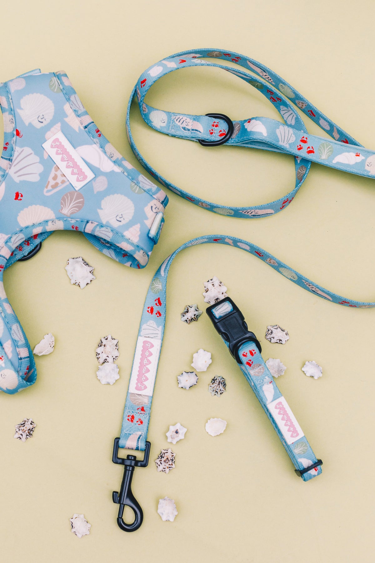 Fetch on the Beach Pet Harness, Lead &amp; Collar Set