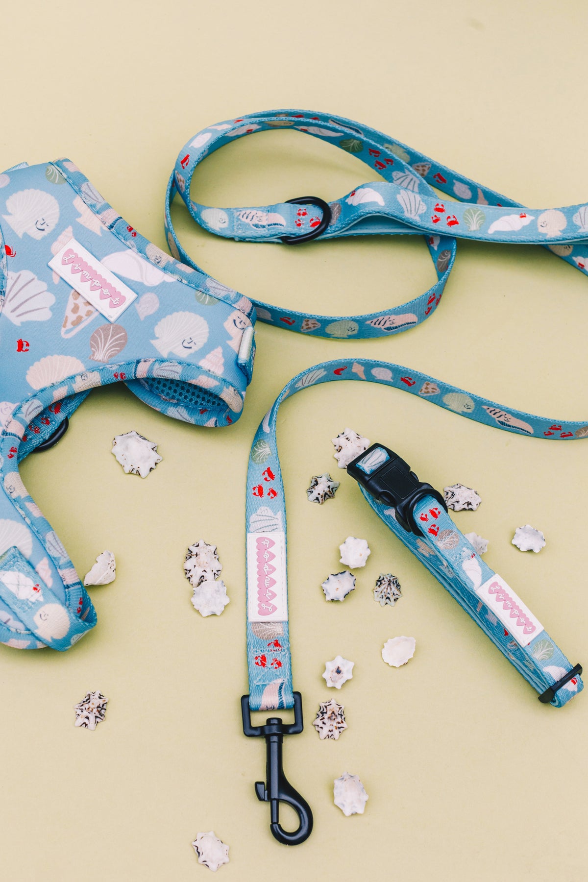 Fetch on the Beach Pet Lead