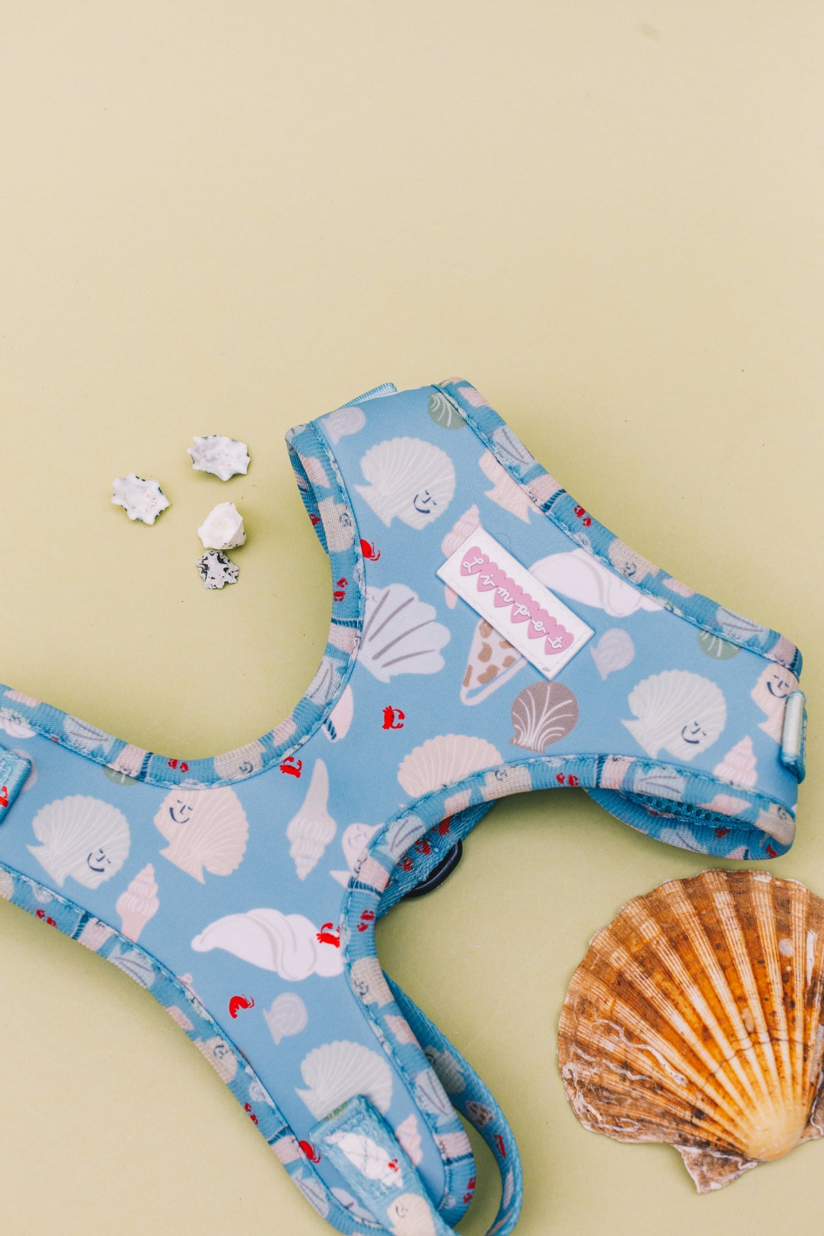 Fetch on the Beach Pet Harness, Lead &amp; Collar Set