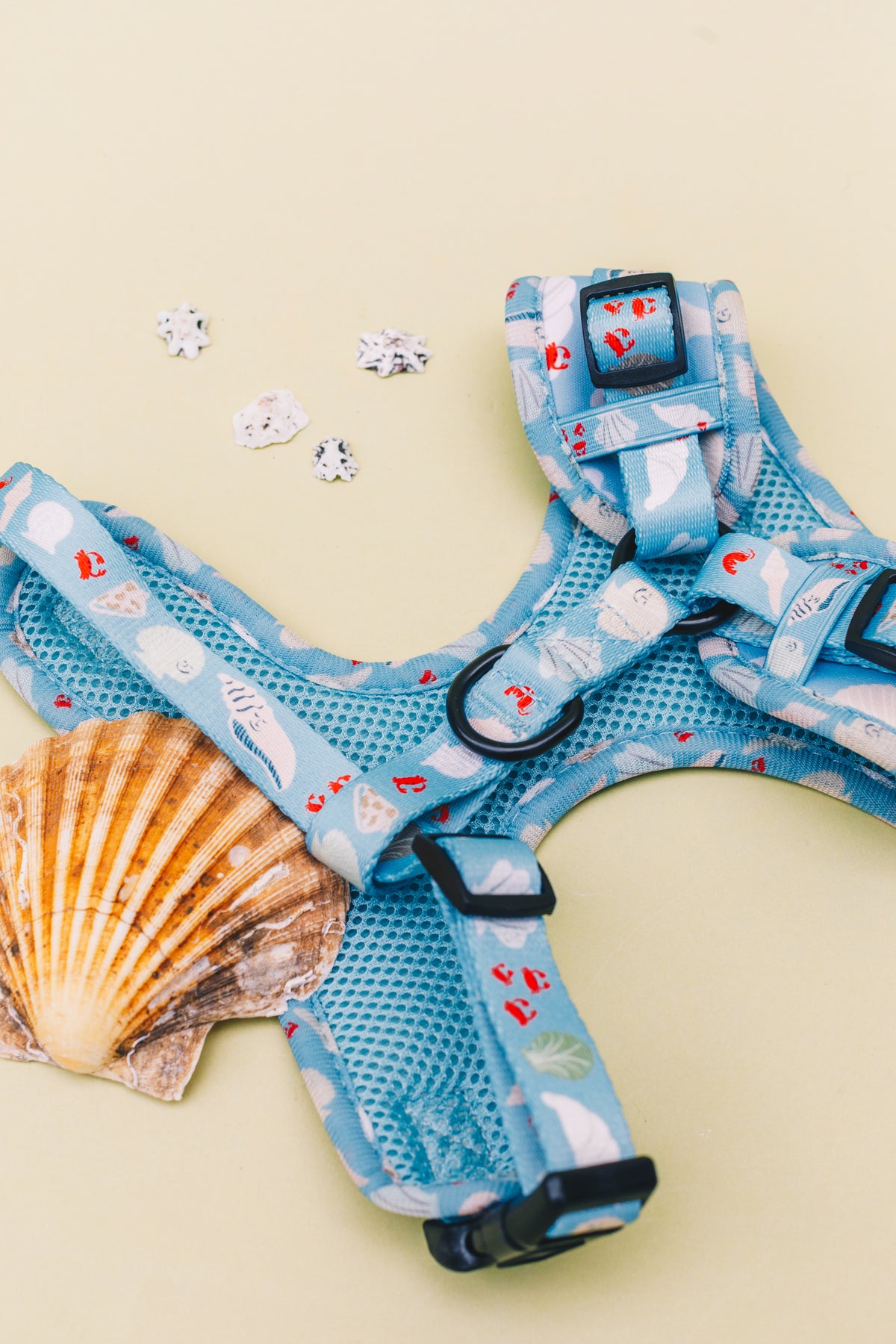 Fetch on the Beach Pet Harness, Lead &amp; Collar Set