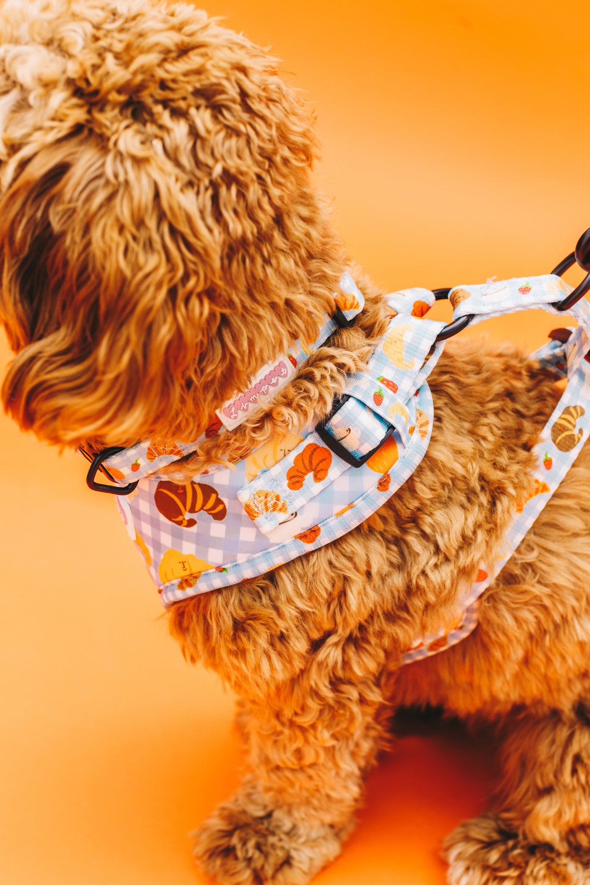 Happy Croissants Pet Harness, Lead &amp; Collar Set
