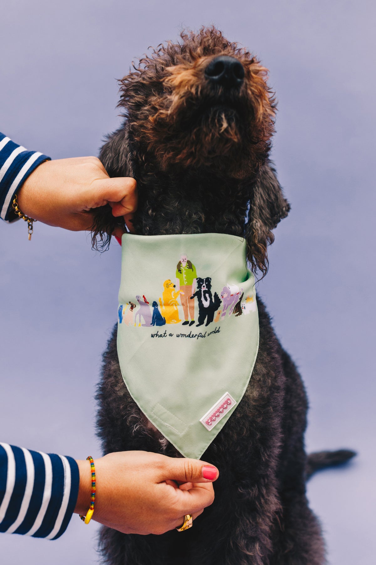 Double sided hot sale dog bandana