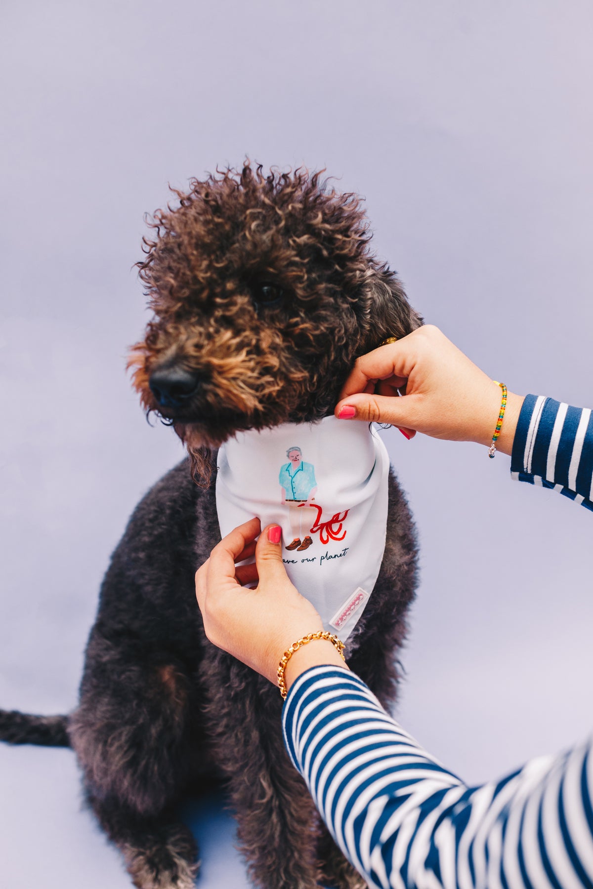 Mega Bundle of Double Sided Pet Bandanas