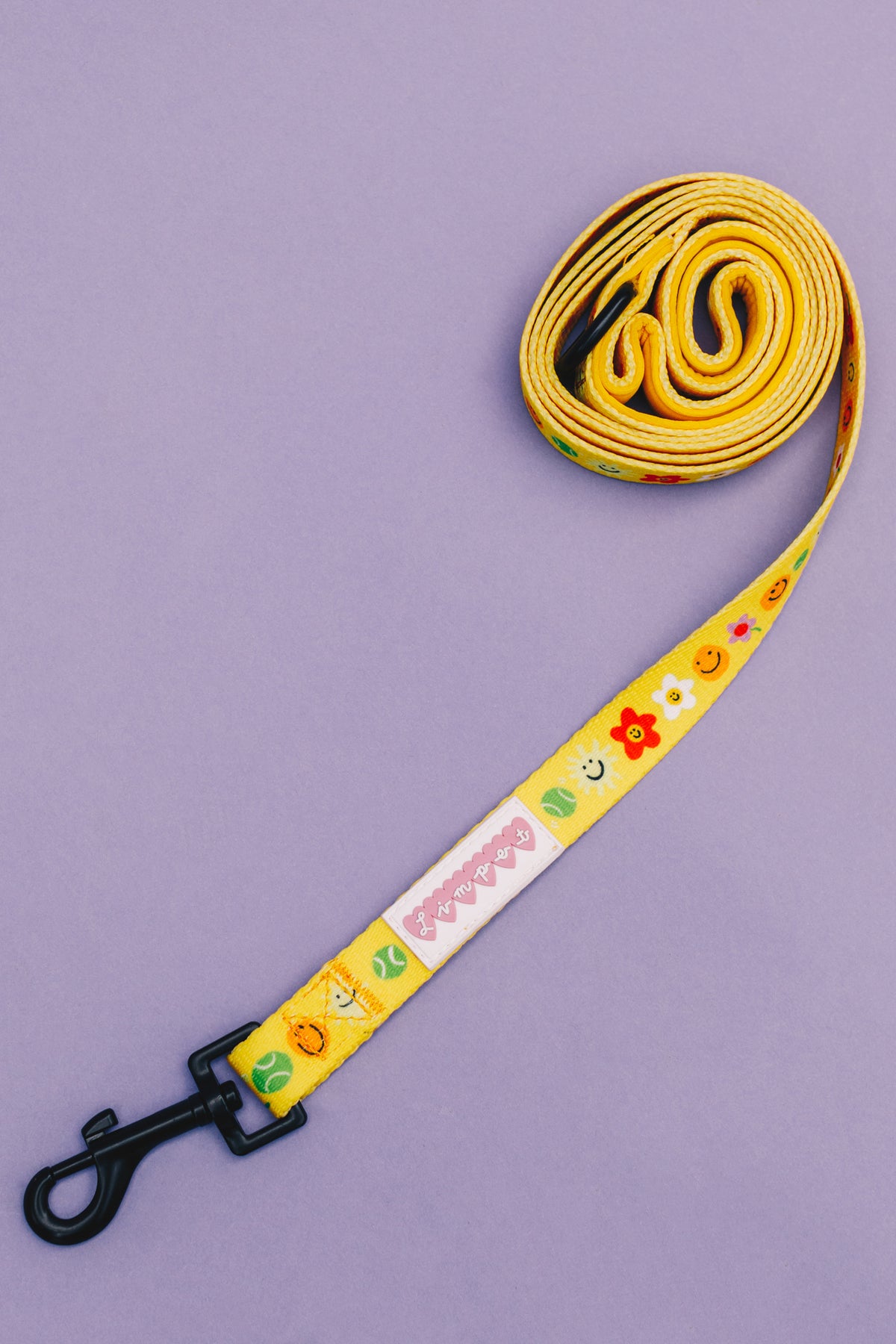 Smilies &amp; Ballies Pet Lead