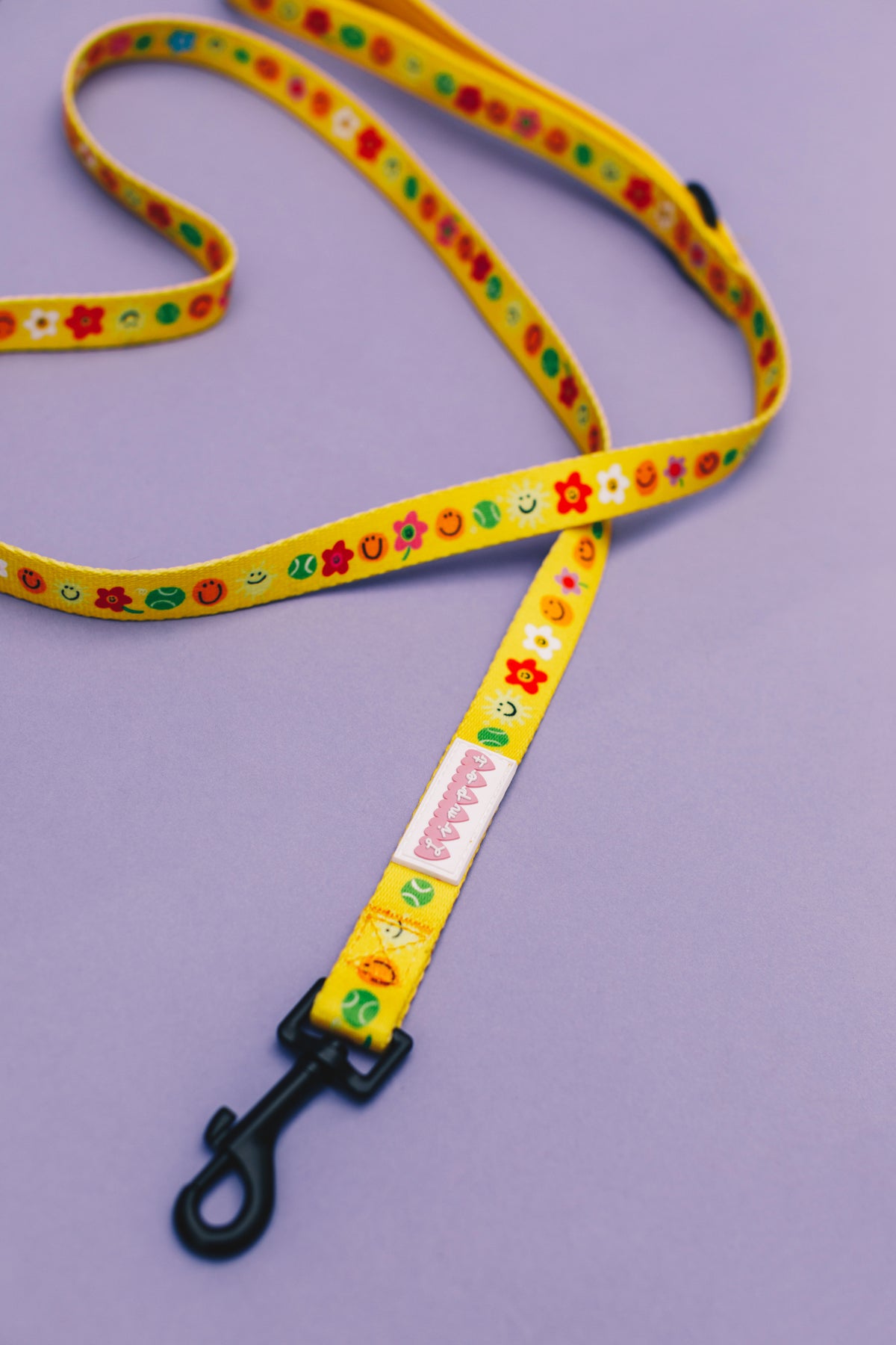 Smilies &amp; Ballies Pet Lead