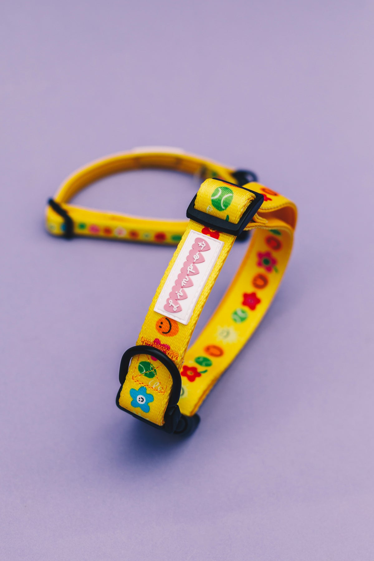 Smilies &amp; Ballies Pet Collar