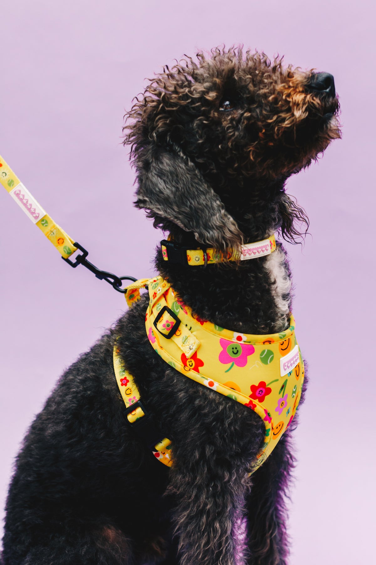 Smilies &amp; Ballies Pet Harness