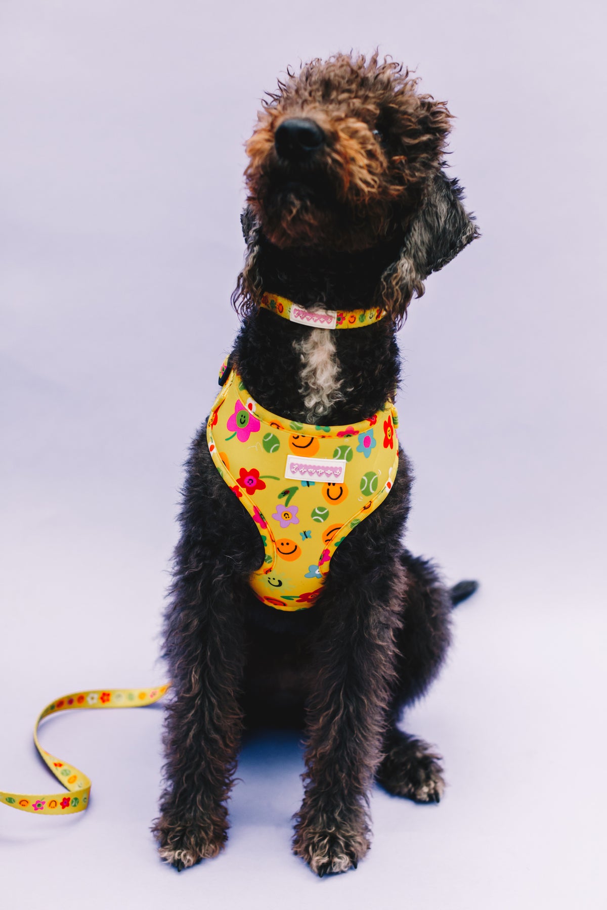 Smilies &amp; Ballies Pet Harness