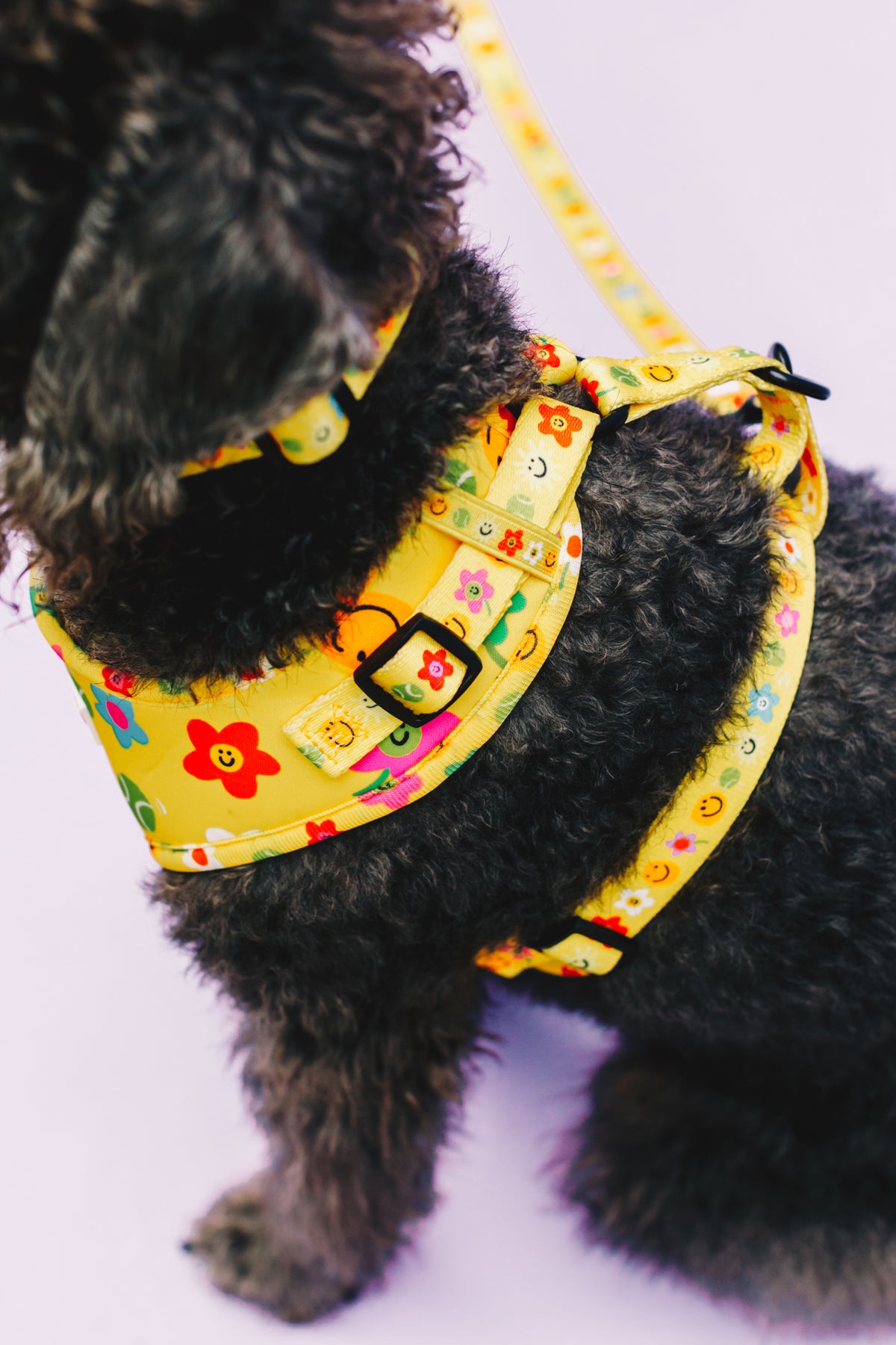 Smilies &amp; Ballies Pet Harness