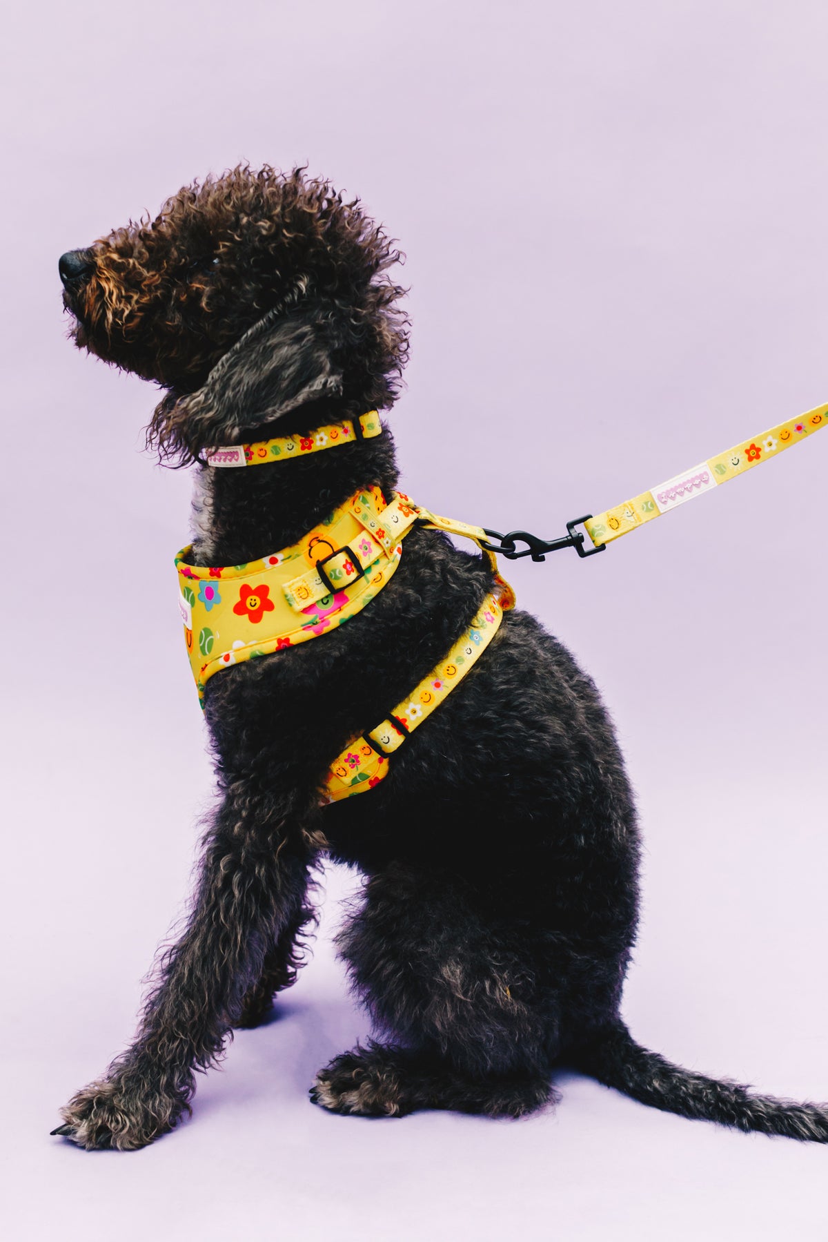 Smilies &amp; Ballies Pet Harness