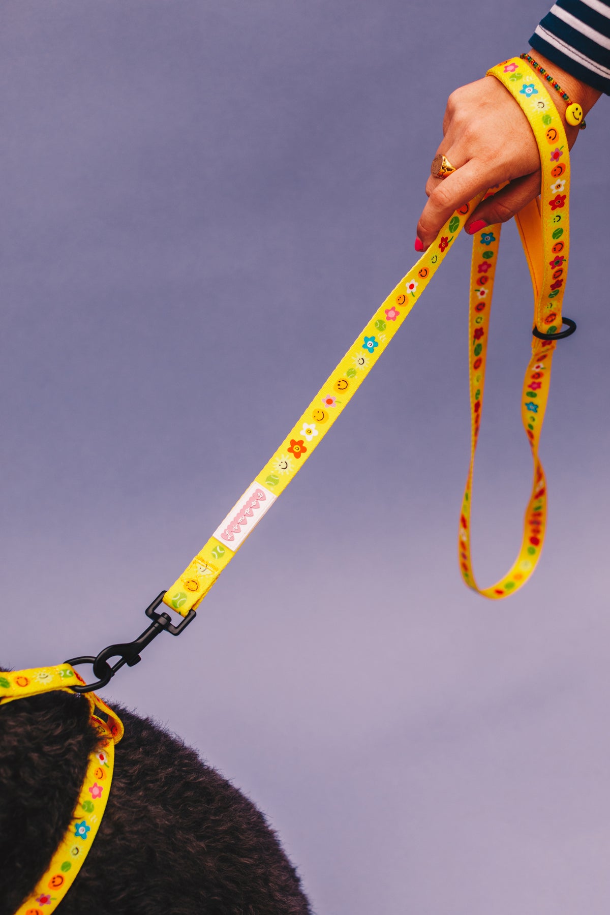 Smilies &amp; Ballies Pet Lead