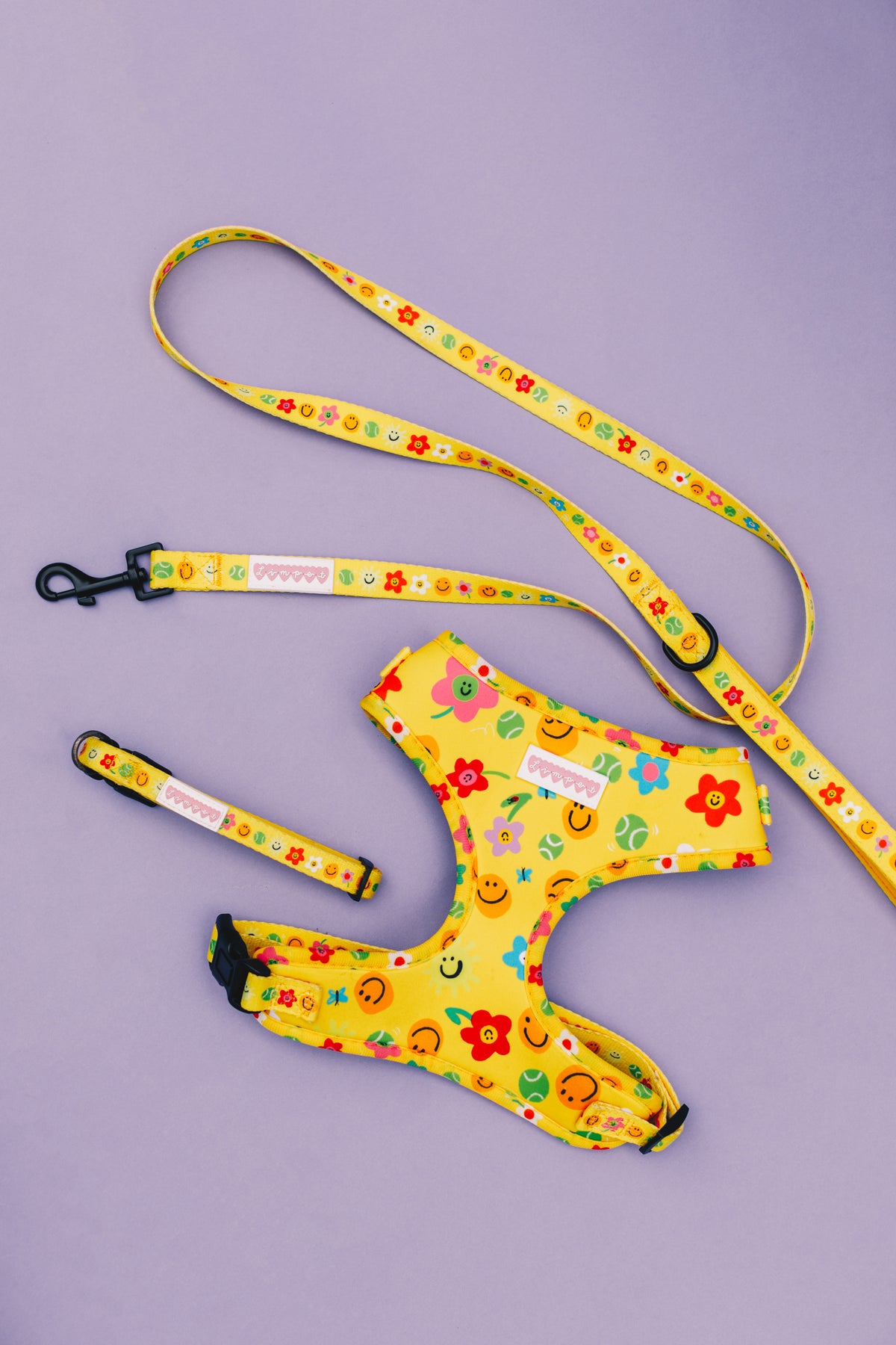 Smilies &amp; Ballies Pet Collar