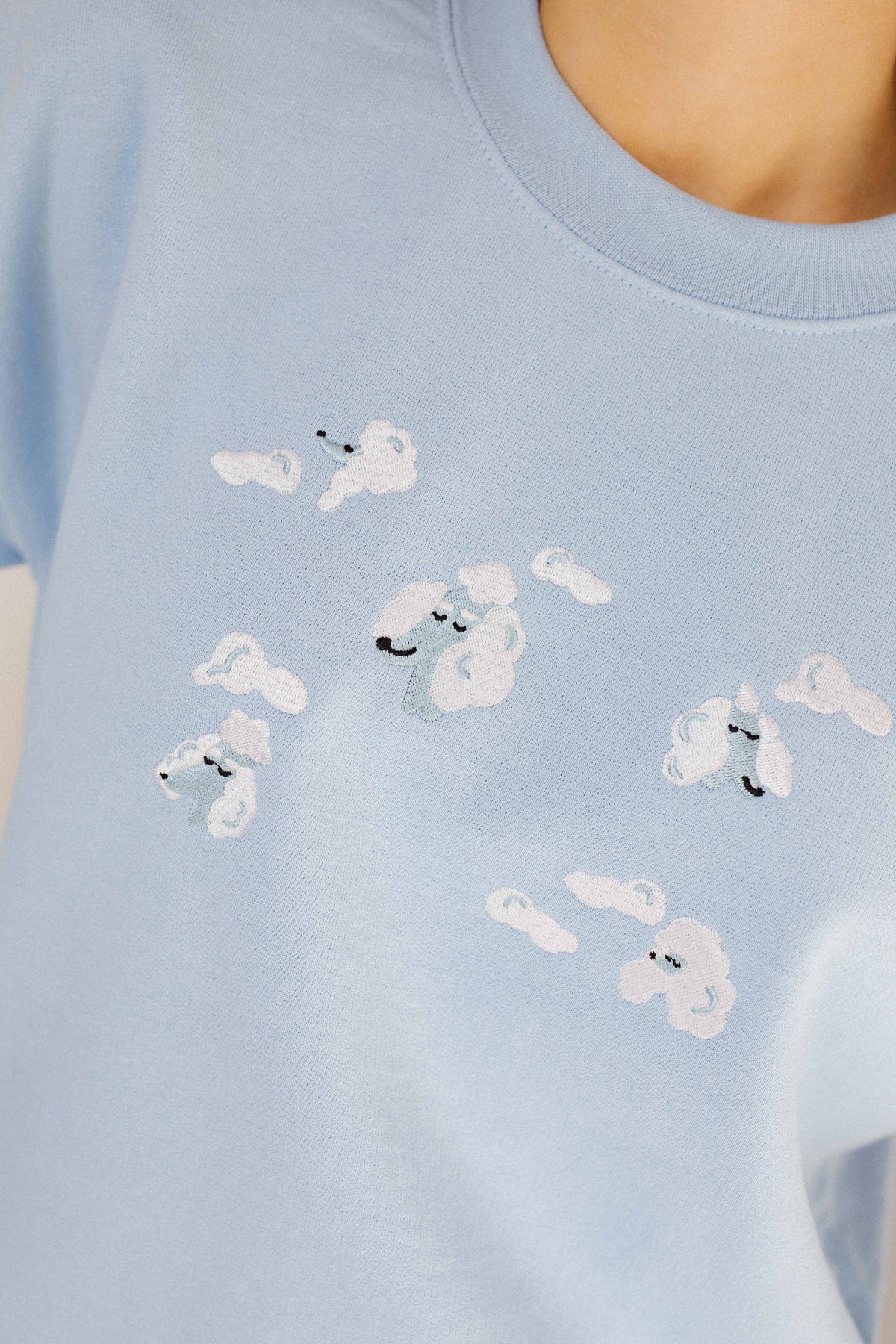 Poodle Clouds Embroidered Sweatshirt