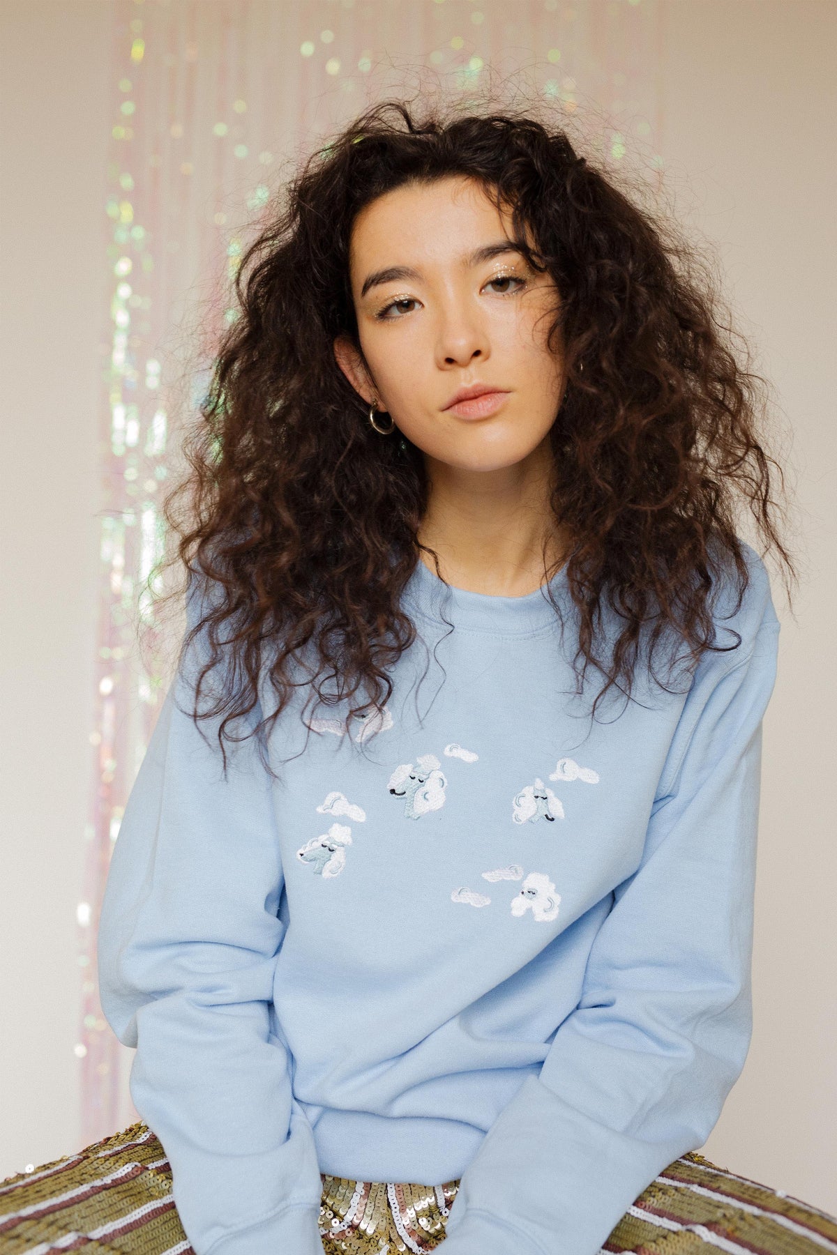Poodle Clouds Embroidered Sweatshirt