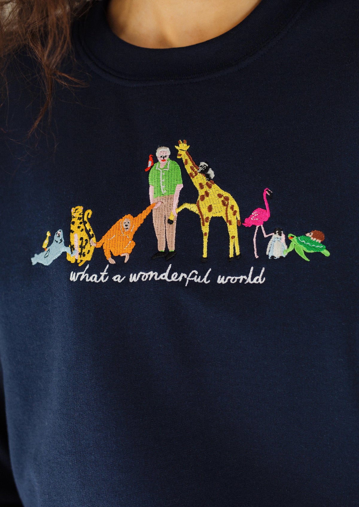 David Attenborough What A Wonderful World Embroidered Sweatshirt